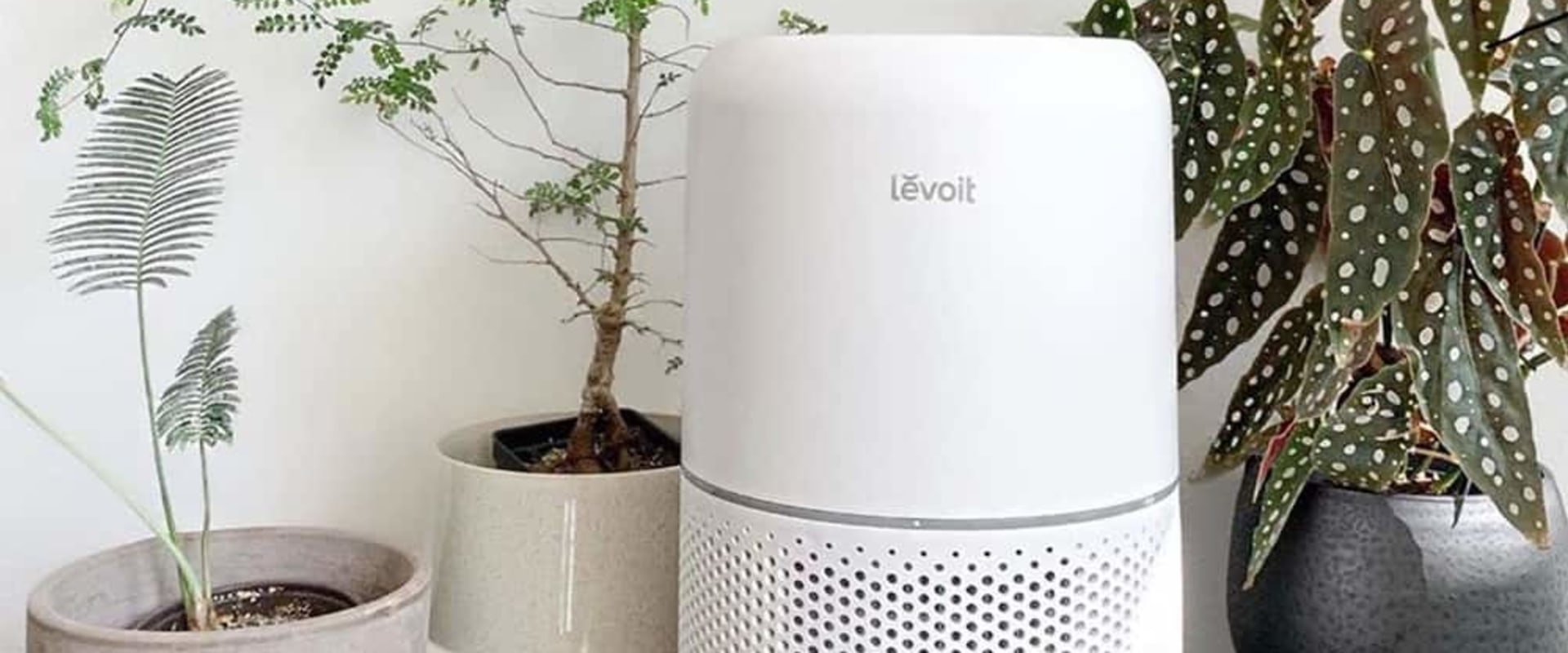 Are Air Purifiers Worth It for NonAllergy Sufferers?