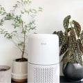 Are Air Purifiers Worth It for Non-Allergy Sufferers?