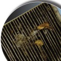 Can Air Filters Cause Allergies?