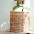 Do Air Purifiers Really Work for Allergies?