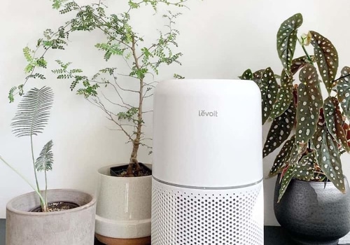 Are Air Purifiers Worth It for Non-Allergy Sufferers?