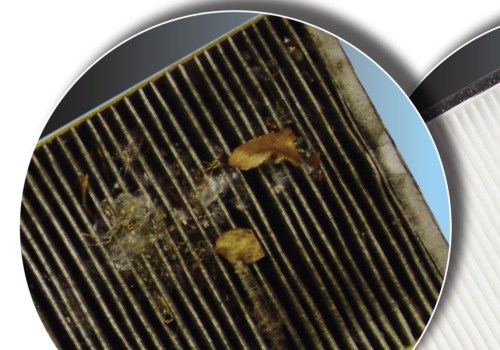 Can Air Filters Cause Allergies?